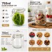 750ml Glass Clamp Lid Storage Jar 750ml Glass Clamp Lid Storage Jar