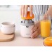 Manual Juicer
