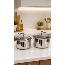 316 Stainless Steel 2-Piece Cookware Set with Glass Cover