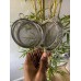 Small Stainless Steel Sieve 